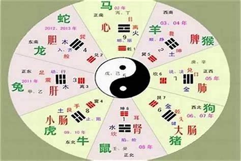 穎的五行|穎字的五行属性